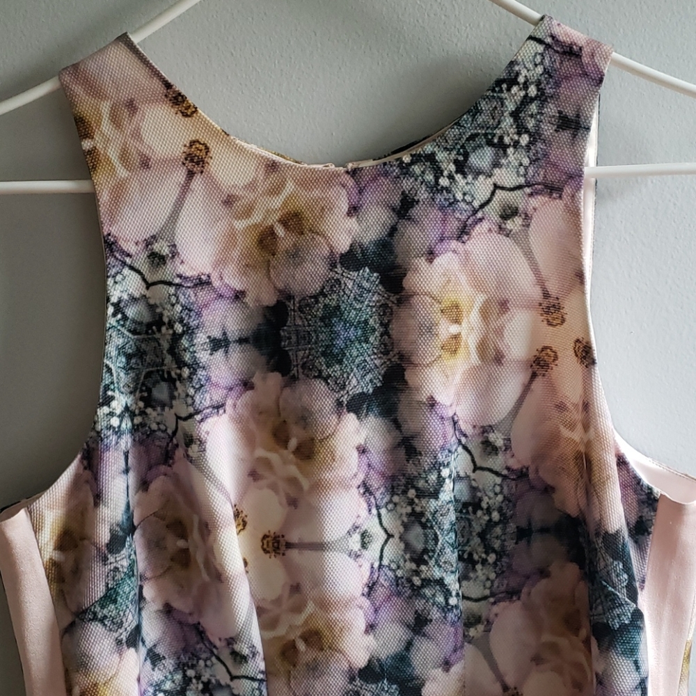 Ted Baker Dress